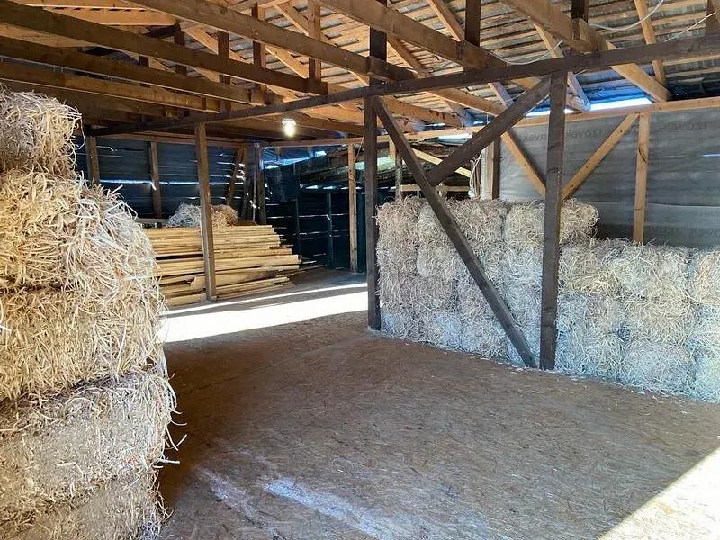 Древесная шерсть 4-6 мм‍, 1 кг ОПТ фото 2