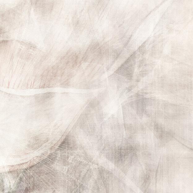 Обои avrora опт фото 5