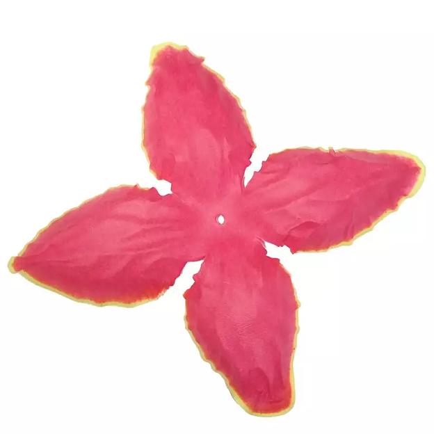 Заг-ка для розы YZ-5 бордовой с жёлт.кантом 4-кон. малый узкий 10-13,5см 1706шт/кг фото 1