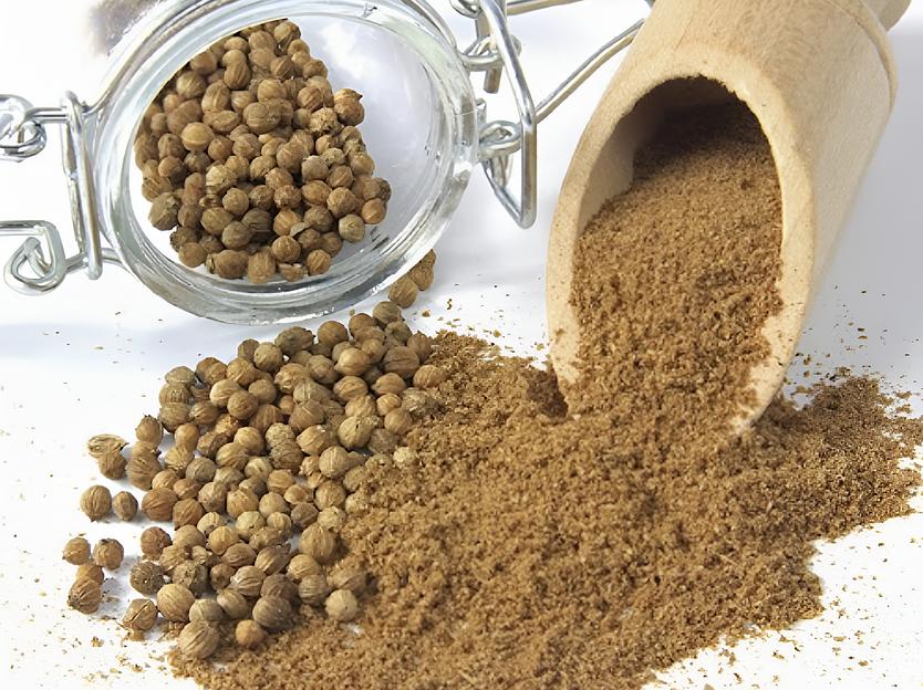 Приправа Кориандр целый «Европек», опт фото 1