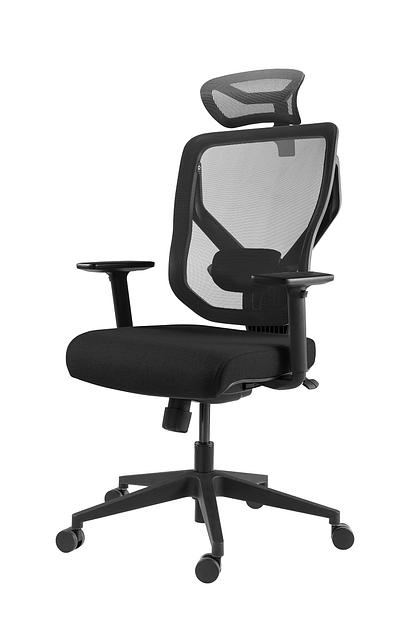 Премиум эргономичное кресло GT Chair VIDA Z, черный фото 1