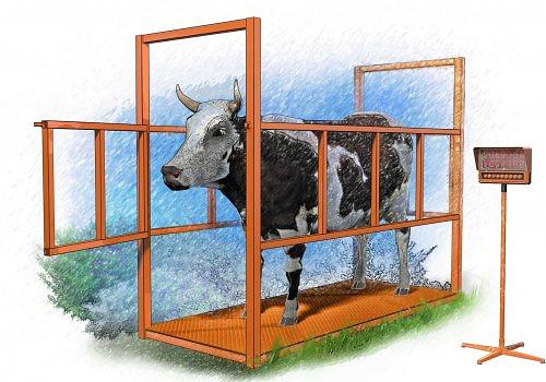 Напольные весы для животных фото 1