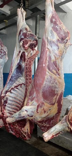 Охлажденные полутуши / четвертины быки молодняк, опт фото 3