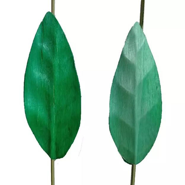 Набор Сухоцветов зелёные листики 110см фото 1