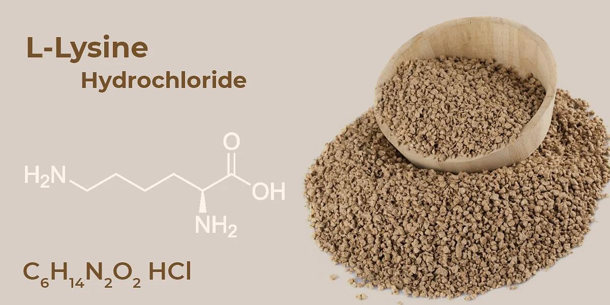 L-лизин и метионин кормовой фото 1