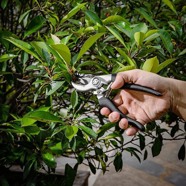 Набор сучкорез + секатор Deli DL580002 лезвия с тефлоновым покрытием, длина 75/21 см, макс. диаметр реза 30/15 мм, сталь 55С фото 5