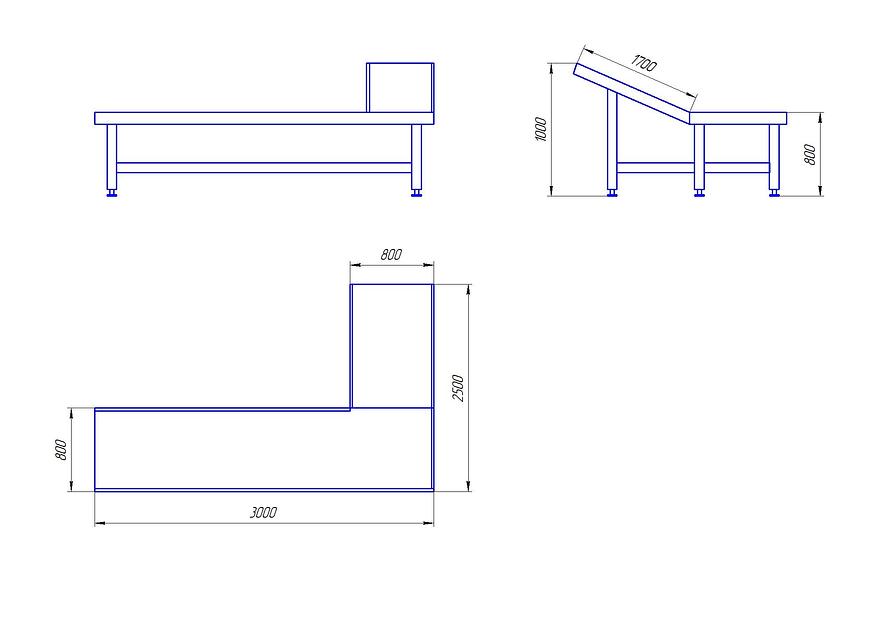 Стол со склизом для подачи живой птицы в зону навески фото 2