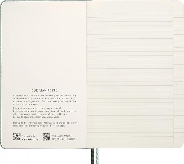 Блокнот Moleskine LIMITED EDITION YEAR OF THЕ SNAKE LECNYSNKVEGMBOX 130х210мм 176стр. линейка подар.кор. мятный Mamba фото 6