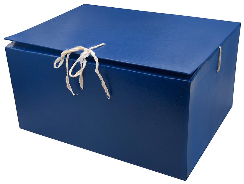 Папка архивная 4 завязки Silwerhof КБЗ-4-150P бумвинил корешок 150мм разобранный A4 ассорти фото 4