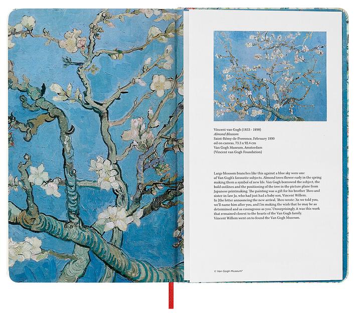 Блокнот Moleskine LIMITED EDITION VAN GOGH MUSEUM SKARTQP063VANGOGH Large 130х210мм 104стр. нелинованный твердая обложка светло-зеленый фото 5
