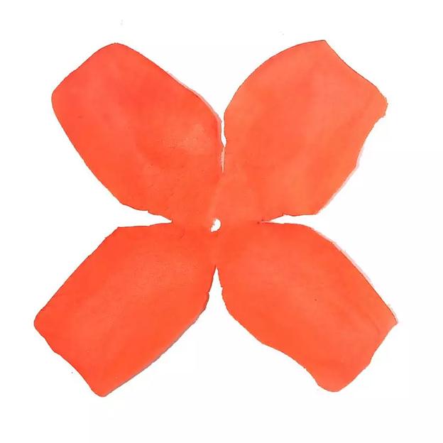 Заг-ка для розы YZ-2 оранжевой 4-кон. длинный 10-12,5см 1449шт/кг фото 1