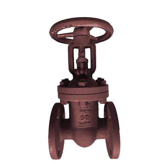 Задвижка клиновая 30лс41нж ДУ50 Ру16 фото 1