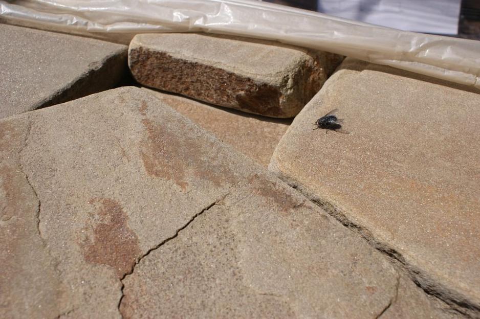 Песчаник галтованный Ручейник Хаки /м2 (50 мм) фото 1