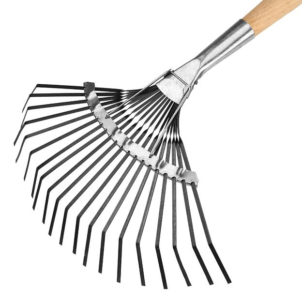 Грабли веерные стальные, 385х1450 мм, 20 плоских зубьев, деревянный черенок, Россия фото 2