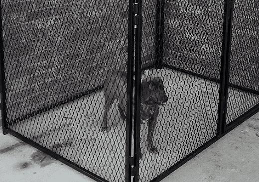 Цельнометаллическая просечно-вытяжная сетка (ЦПВС) фото 5