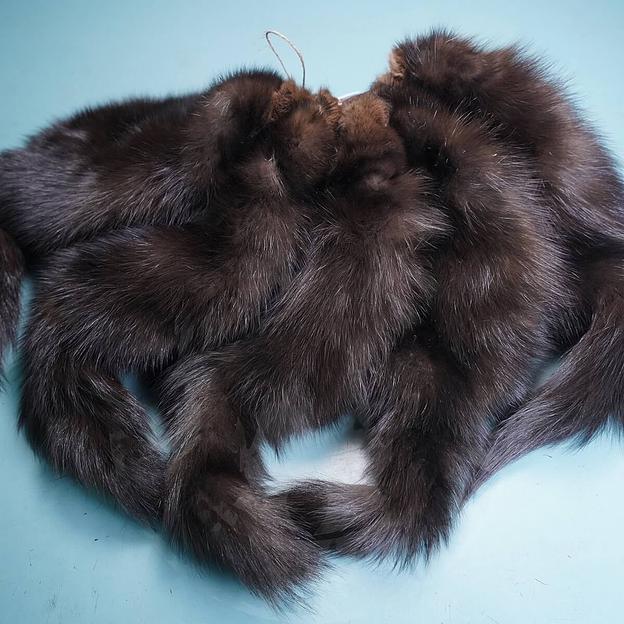 Шкурки соболя порода «Салтыковская-1» Глухой, опт фото 2