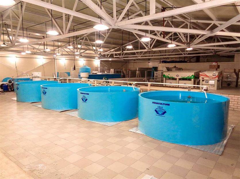 Торговые модули для магазинов фото 4