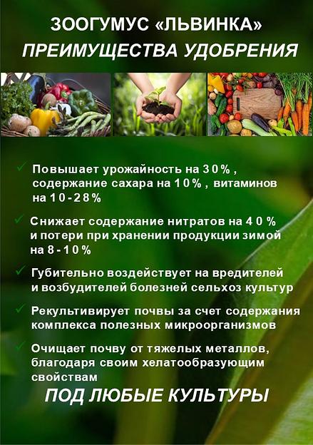 Зоогумус «Львинка» Почвенный кондиционер пролонгированного действия фото 2