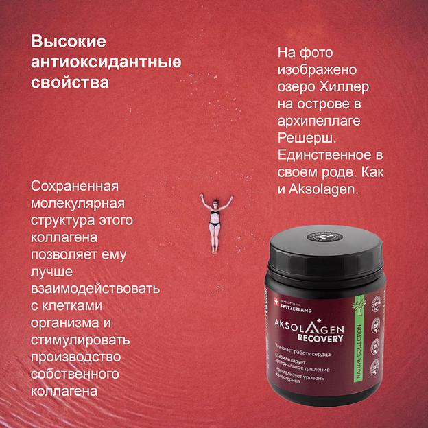 Неденатурированный Морской коллаген 1 2 и 3 типа с экстрактом шиповника «Aksolagen recovery» фото 8