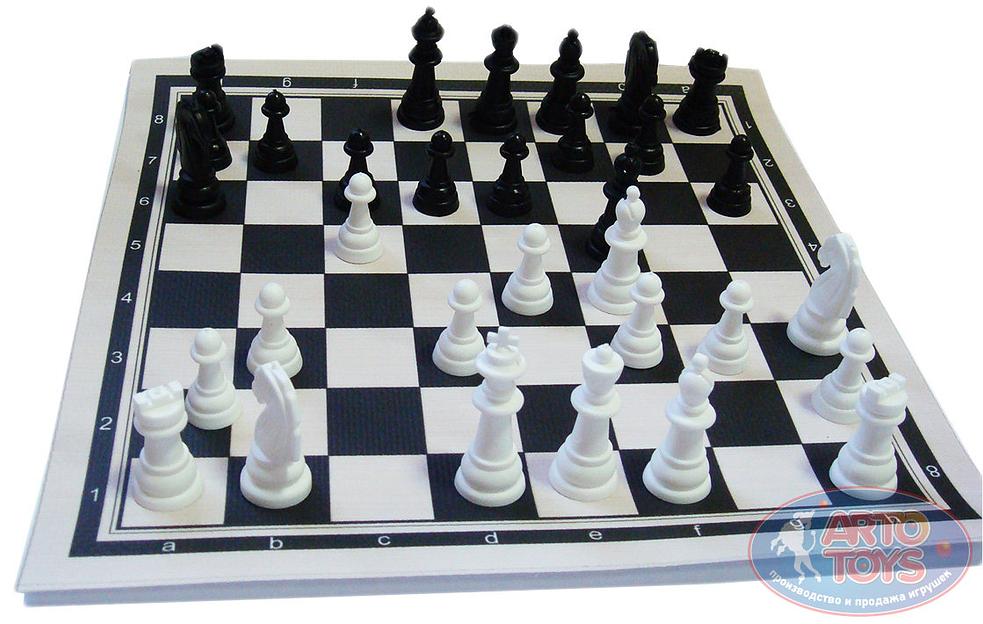 Шашки и шахматы 2в1 в тубусе ОПТ фото 3