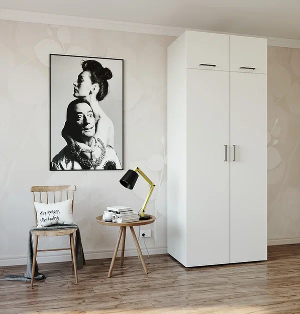 Шкаф распашной Sanvut 900х500х2325 мм арт.Ш9319 ОПТ фото 4