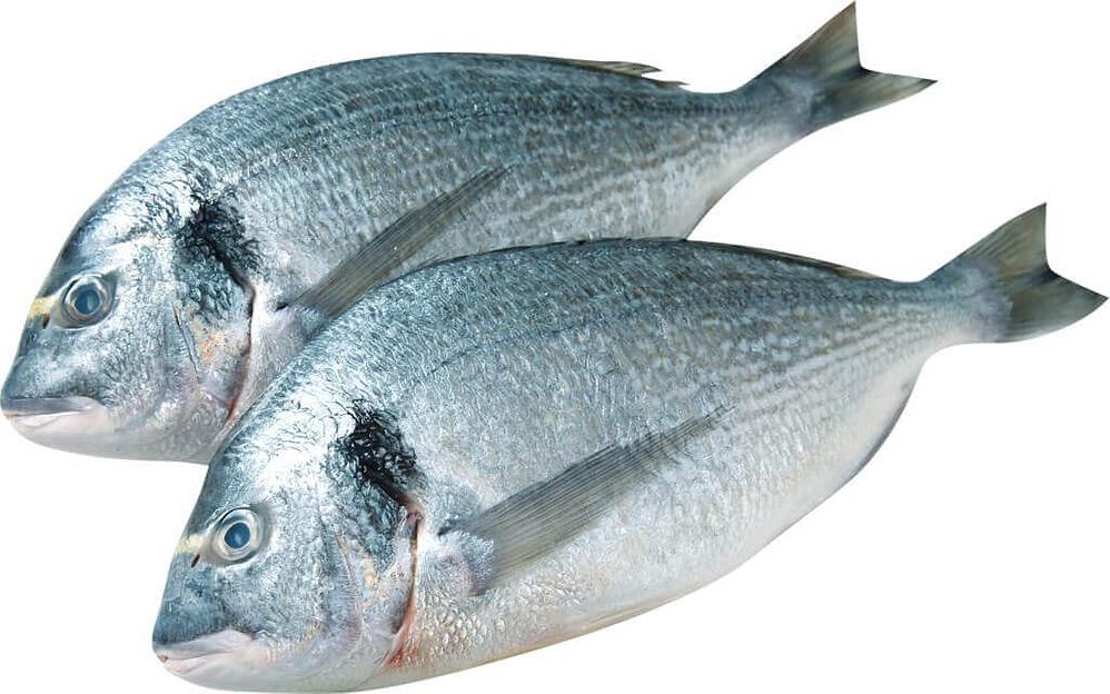 Дорадо 300-400 н/р 1/5 Турция ОПТ фото 1