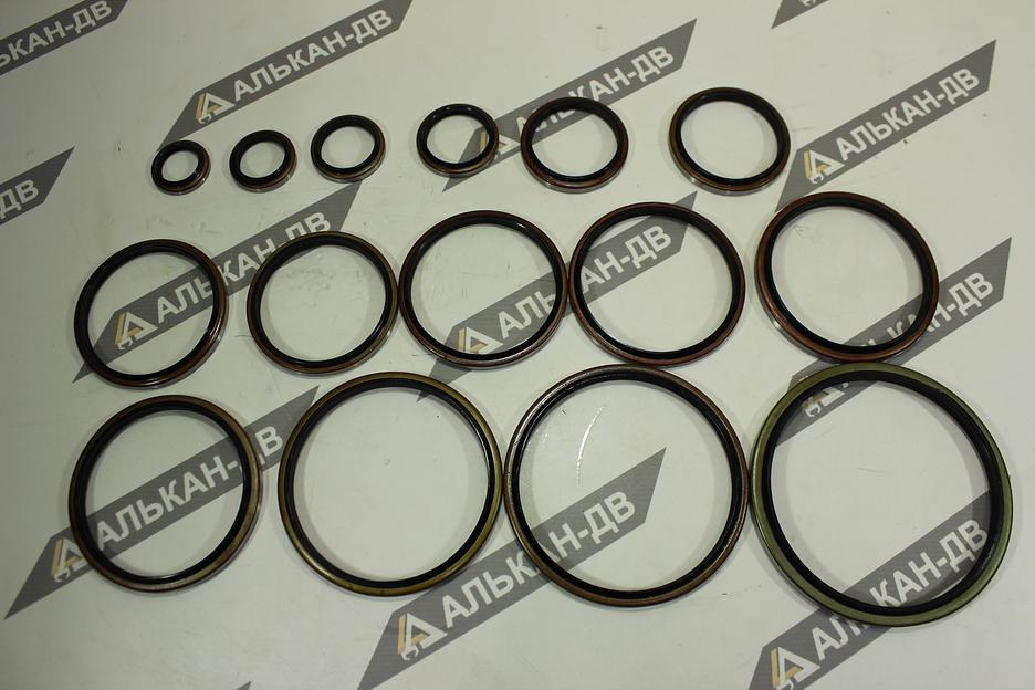 Грязесъемники, пыльники wiper-seal, PIN Dust, GA, DKB, DKBI, WS фото 9