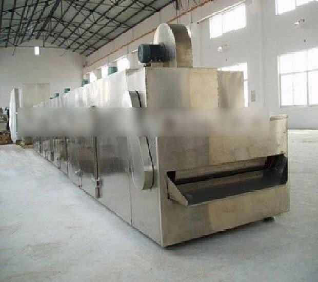 Ленточная сушилка DW-0.7-5-3 фото 1