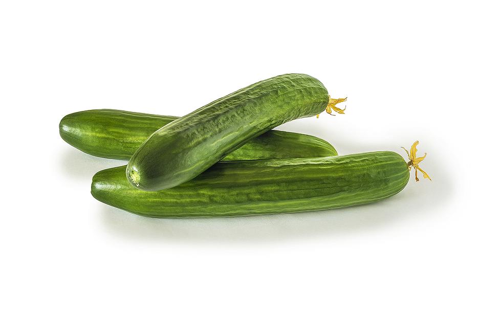 Огурец среднеплодный (Мева) опт фото 1