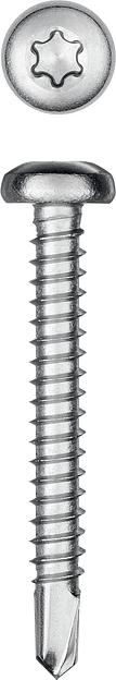 KRAFTOOL DS-P, 38 х 4.8 мм, А2, сверло, полукруглая головка, ТХ25, 200 шт, саморез нержавеющий (300931-48-038) фото 1