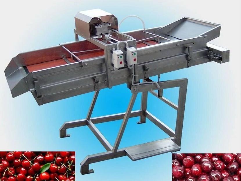 Машина для удаления косточек из фруктов DYA-500 фото 1