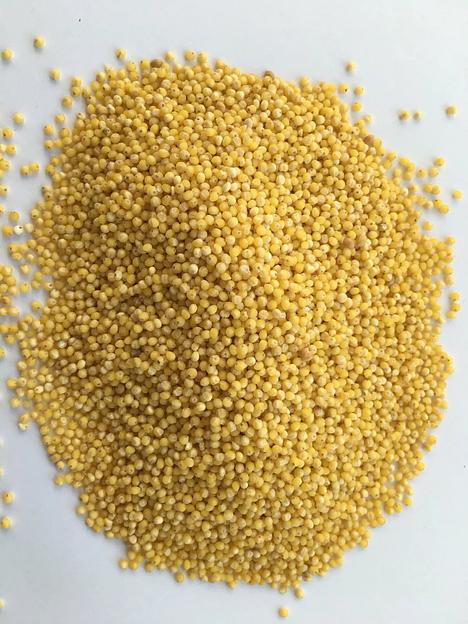 Пшено 1 сорта БигБэг ОПТ  фото 2