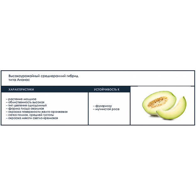 Семена дыни F1 «Гривна» опт фото 2