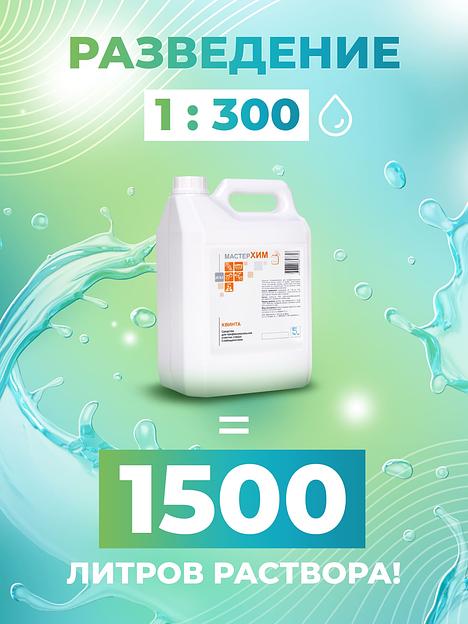 Квинта 5 кг - Средство для очистки стекол фото 3