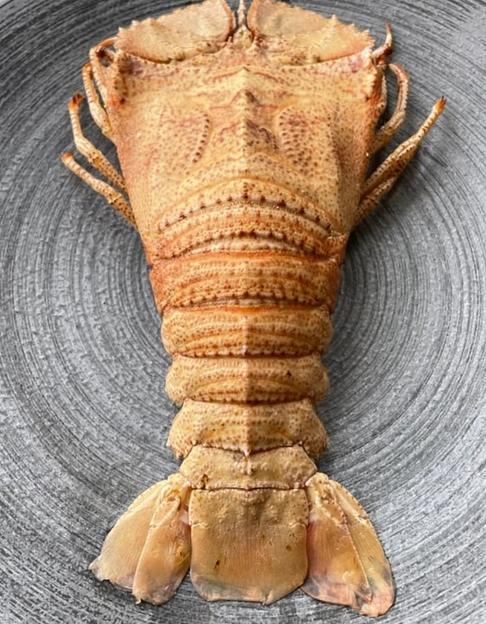 Песчаный лобстер замороженный фото 1