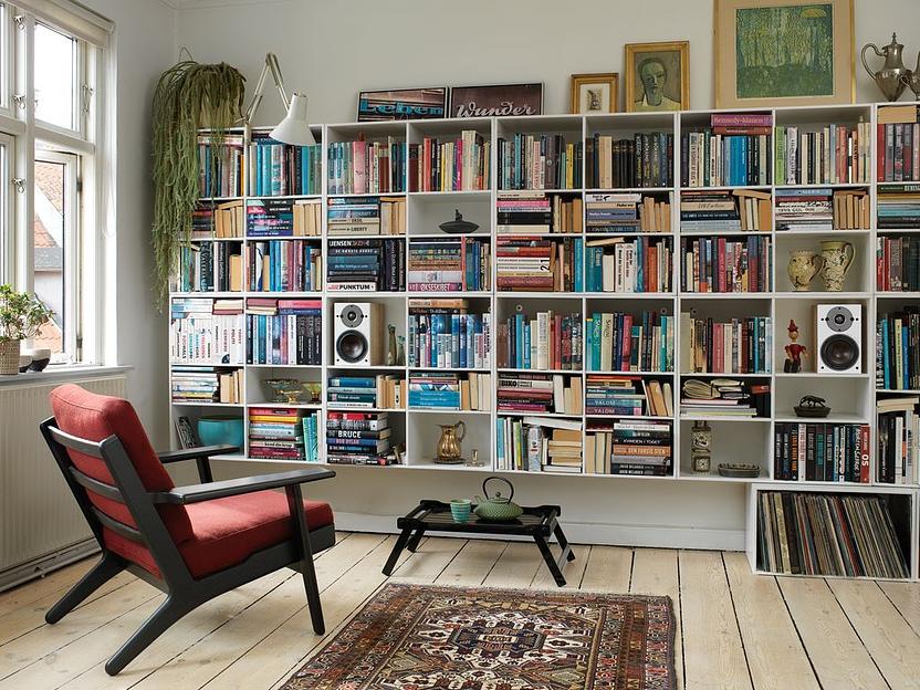 Полочная акустическая система DALI OBERON 1. Цвет: Светлый дуб [LIGHT OAK] фото 5