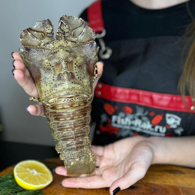 Песчаный лобстер замороженный фото 2