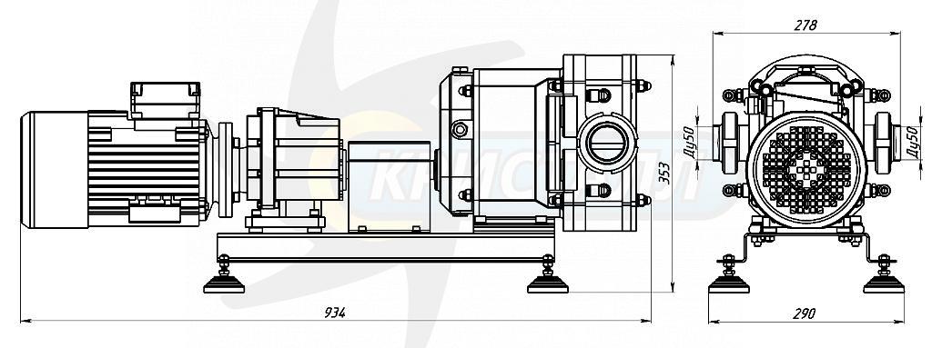 Роторный насос фото 2