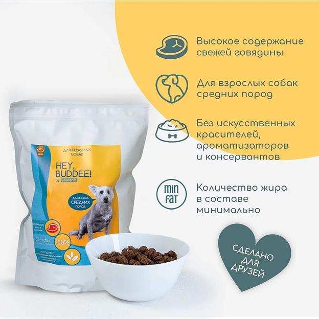 Сухой корм для пожилых взрослых собак средних пород, суперпремиум, с говядиной и рисом, 1 кг фото 2