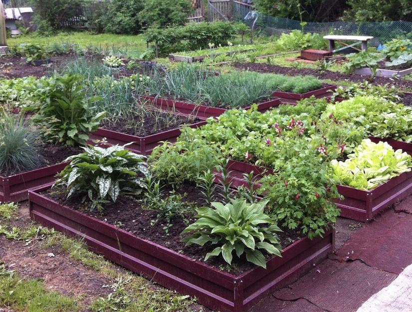 Оцинкованное ограждение для грядки L=1/2,5 м, опт фото 1