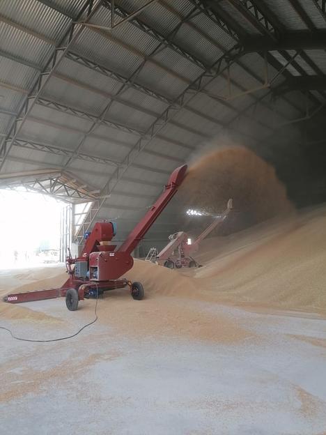 Зернометатель ЗМС-100 фото 4