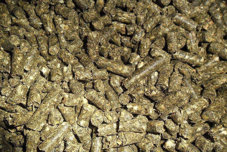 Шрот подсолнечный, рапсовый, соевый фото 1