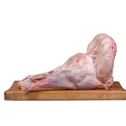 Задок ягнёнка с курдюком опт фото 1