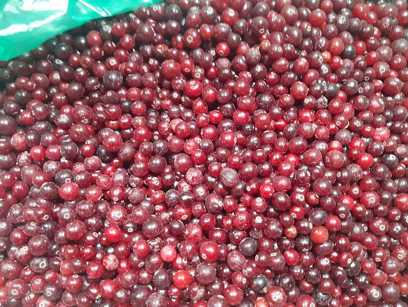 Клюква дикорастущая на развес, собственный сбор 10 кг Опт фото 1