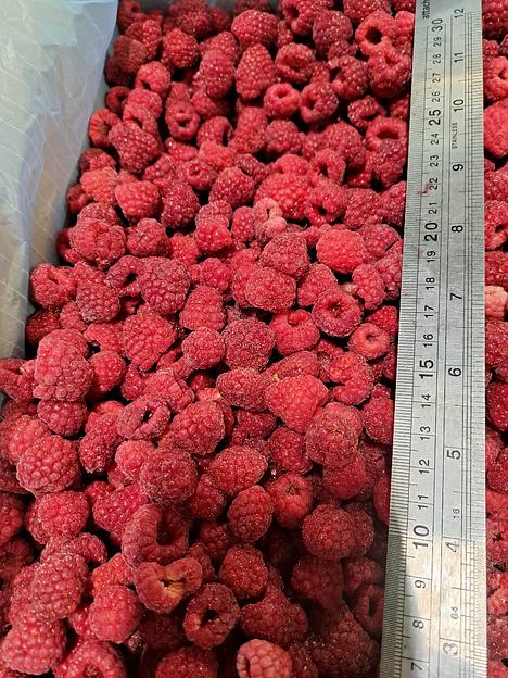 Малина - собственный сбор 95/5, 10 кг Опт фото 1