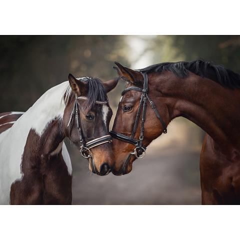 Пазл 1500 элементов Грация любви, ФРЕЯ PZL-1500/29 фото 1