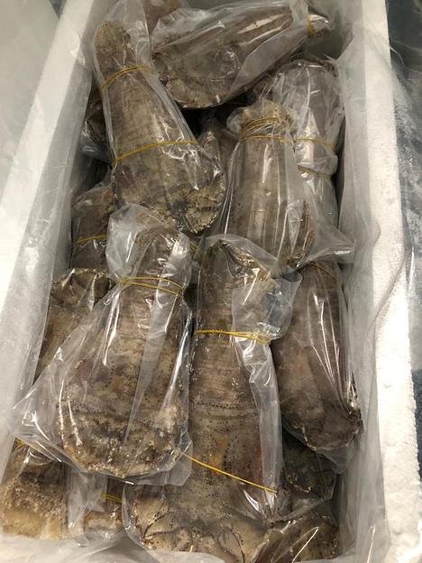 Песчаный лобстер замороженный фото 4