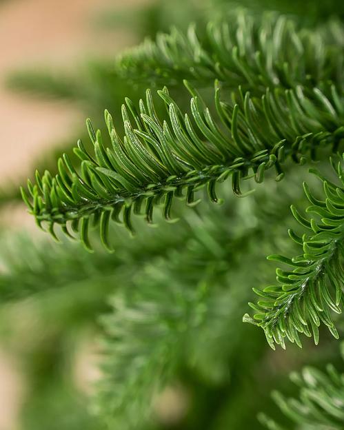 Ель литая зеленая «Поэма» опт фото 8