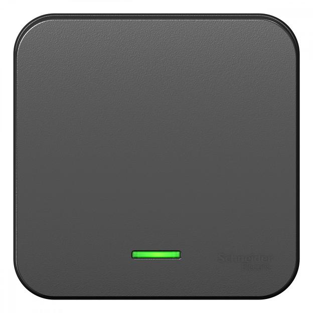 Systeme electric BLNVA101116 BLANCA О/У 1-клавишный ВЫКЛЮЧАТЕЛЬ ( c х.1) с подсв.ИЗОЛ.ПЛ,10А,250B,АНТРАЦИТ фото 1