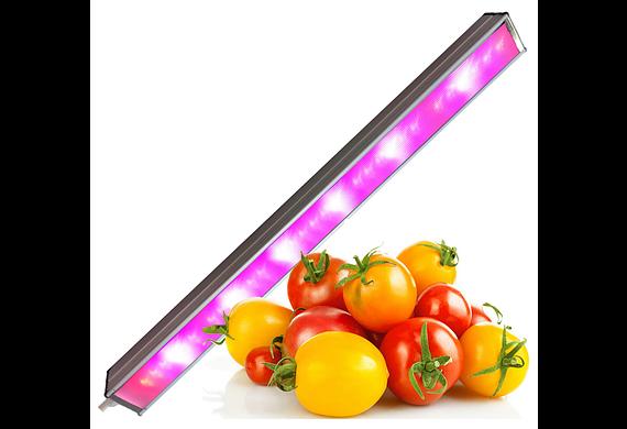 Фитосветильник «ФИТО-Урожай» для плодообразования опт фото 6